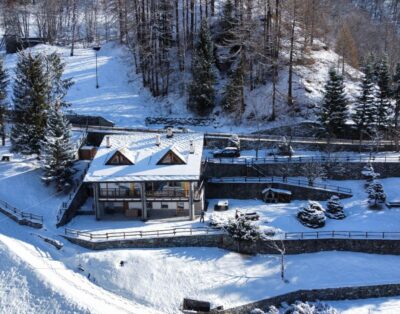 Chalet Snow Storm