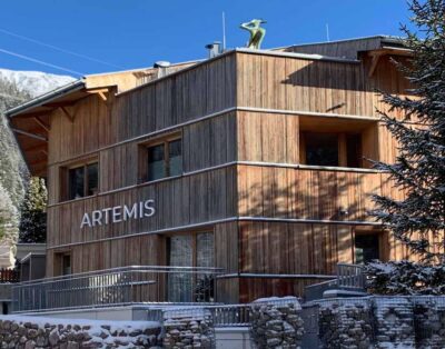 Chalet Artemis