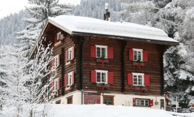 Chalet Bear